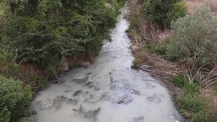 Ежедневно отравяне на река Бели Лом в Разград