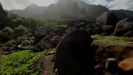 Dreaming Trance Mix Hd Beautiful Nature Relax ! Youtube - Youtube
