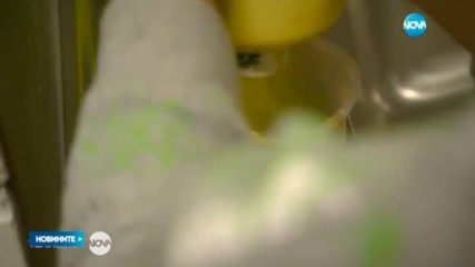 ОТЛИЧИЕ ЗА NOVA: "Мисия Образование" с приз "Златно сърце"