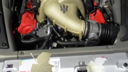 Pre - Owned Luxury Auto Dealer Lafayette, Baton Rouge, La Import One Video 