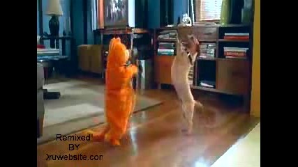 Garfield Dance Cool