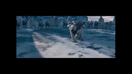 The Golden Compas [the Battle Of The Bears]