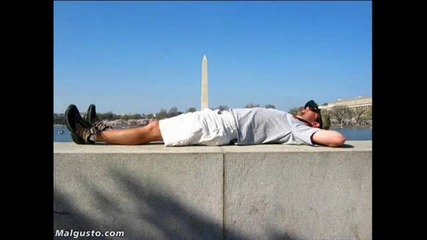 Really Funny Pictures
