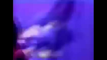Zinatra - There She Was