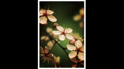 Yiruma - Kiss The Rain