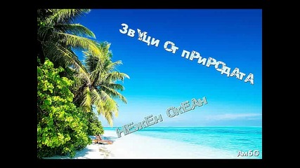 Звуци от природата - Нежен океан 