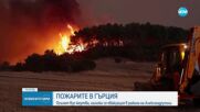 Пожарите в Гърция взеха жертва