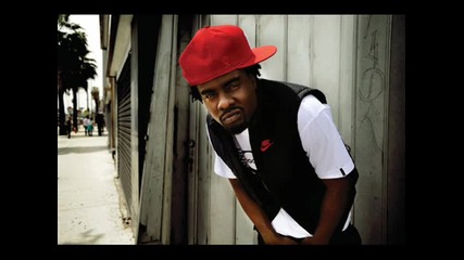 Wale - Mike Tomlin (black And Yellow) 
