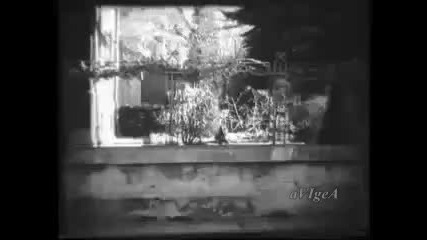 Васил Попов - О, донна Клара ( Авторско Видео )