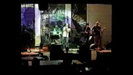 The Zoo - Angels