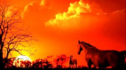 Smooth Jazz-cherish The Day (tribute To Sade)