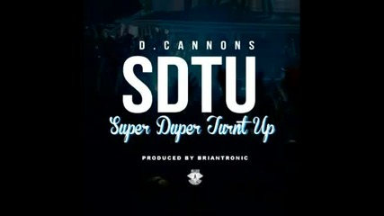 D. Cannons - Sdtu (prod. by Briantronic) [new 2013]