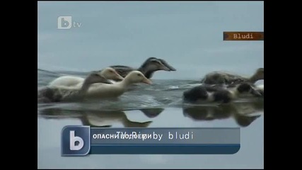 Опасни водоеми за къпане