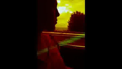 The Trip Never Stop