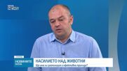 Ще има ли зоополиция и ефективни присъди срещу насилието над животни?