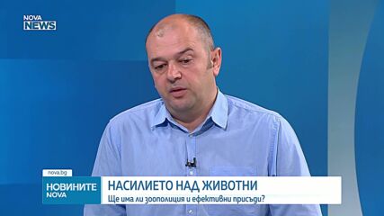 Ще има ли зоополиция и ефективни присъди срещу насилието над животни?