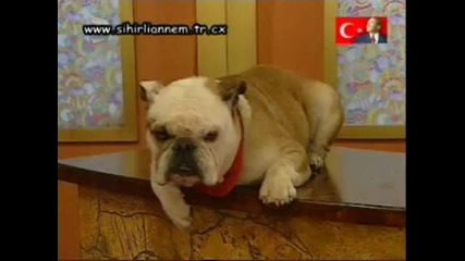 Sihirli Annem - 1.bolum / 7.kisim Son (2003-2006) ;;