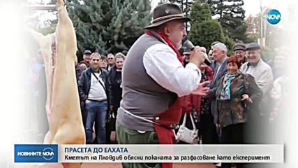 Ще разфасоват ли прасета в центъра на Пловдив за Коледа?