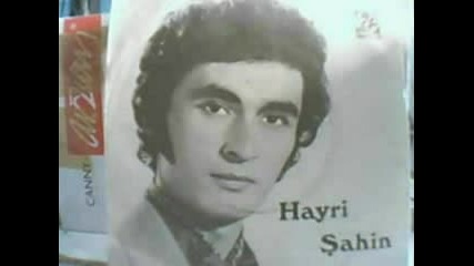 Hayri Sahin - Aldanmak Aci Sey