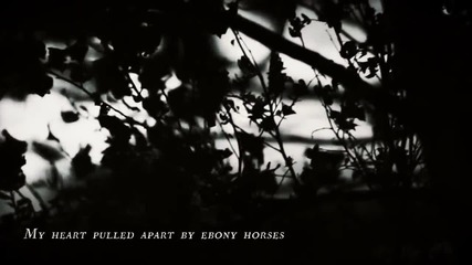 Swallow The Sun - Abandoned By The Light (lyric Video)