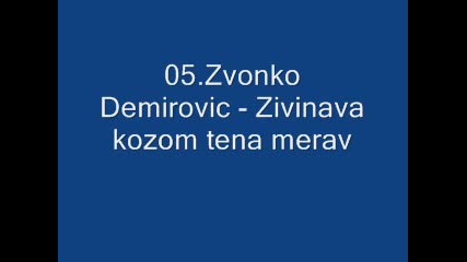 05.zvonko Demirovic - Zivinava kozom tena merav 