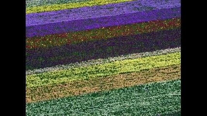 Eva Cassidy - Somewhere Over the Rainbow 