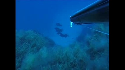 подводен риболов