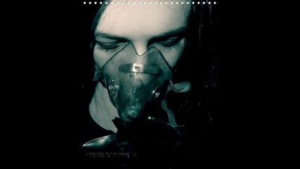 Noisecontrollers - Gimme Love