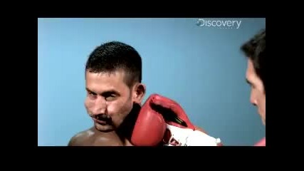 Time Warp - Face Punch 