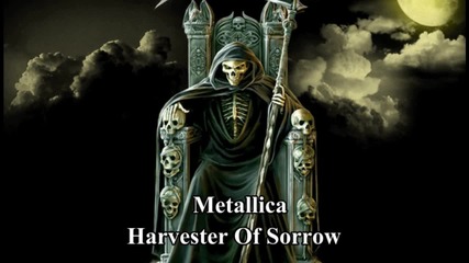 Metallica Harvester Of Sorrow (instumental_cover)