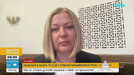 Надежда Йорданова: Разделянето на ПП и ДБ е политическа грешка, необходима е ефективно обединена група