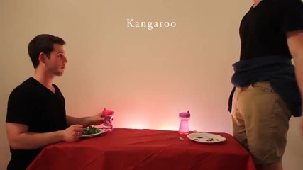 Как различните животни ядат храната си-много смях!!! :)