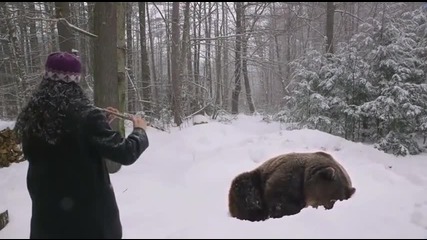 Смела флейтистка приспива мечка с нежна мелодия