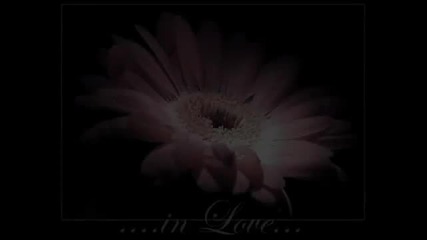 Dragana Mirkovic - Milo moje sto te nema.