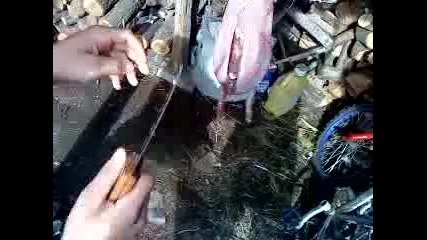 Yabalkovskiq Kasap ( 2 )
