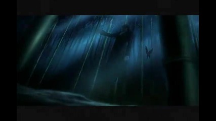 D.gray - man - Frozen
