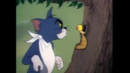 Tom & Jerry - Тъжното пате 