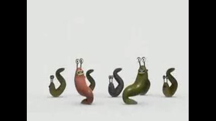 Crazy Worms,  ludi 4erveii