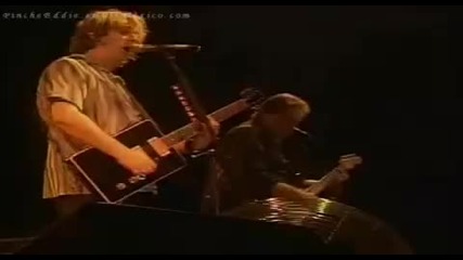 Foghat - Fool For The City (live)