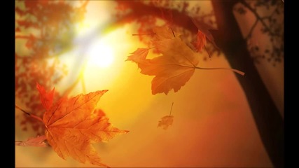 Eric Clapton - Autumn Leaves