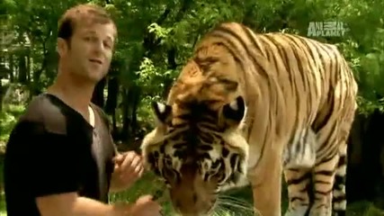 World s Deadliest Towns - Land of Man - Eating Tigers 