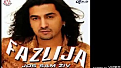 Fazlija - Ti si me digla iz pepela - (audio 2003).mp4