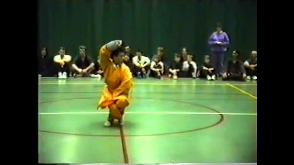 Shaolin Kung Fu