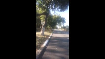 Vid_20220907_085047.mp4