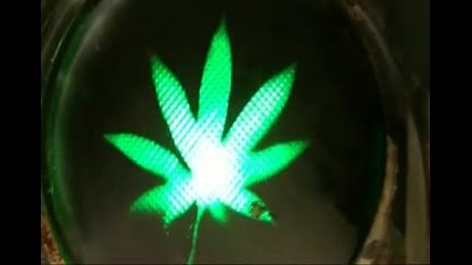 Mary Jane .1 mpeg2video