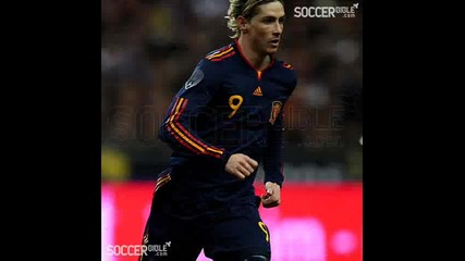 Fernando Torres The Best..