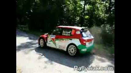 best of Rally 2010 Compilation Crash E Spettacolo