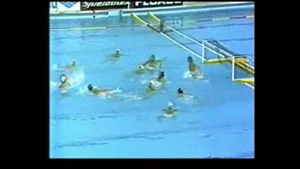 Mirolad Krivocapic