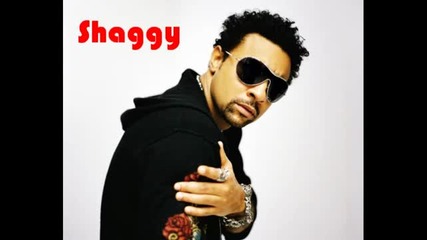 Shaggy Feat. Brian & Tony Gold - Hey Sexy Lady