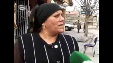 sigani